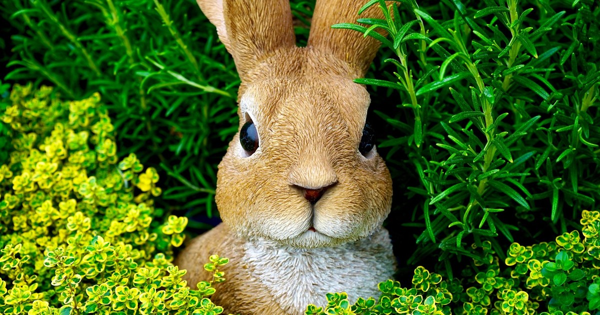 Adorable brown rabbit nestled among vibrant green plants, showcasing nature's beauty.